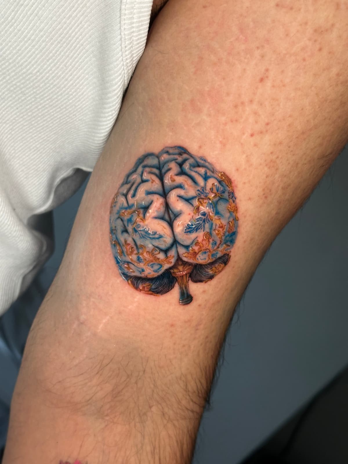 Brain — Realism / Forearm