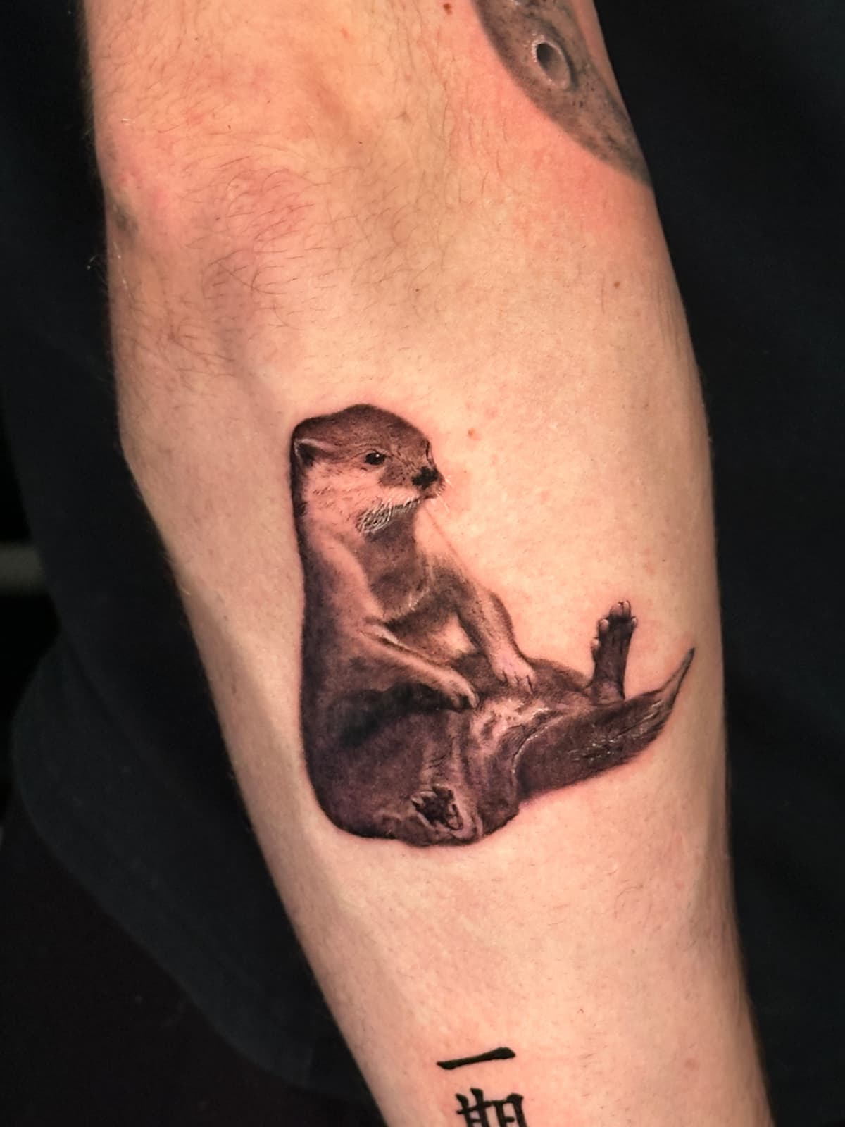 Otter — Realism / Forearm